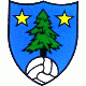 fc saint leonard